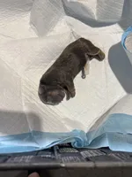 processed/4802ddab-6327-4b86-a101-6474d7a9d6a8/facility/df19bdae-7629-45e2-b51b-6606f3552dc3