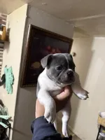 processed/4802ddab-6327-4b86-a101-6474d7a9d6a8/facility/fc4575dd-4294-4368-bb8b-a89d88184eed