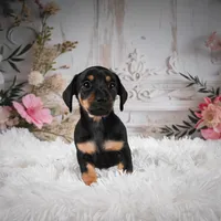 processed/48154669-1f0d-4583-8af4-d8d7c3a27659/listing/44afe52c-f672-4a9e-bf92-7c3ad5ce9443/85fec1fc-7e20-48ae-bcbf-9aa290e75153