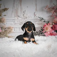 processed/48154669-1f0d-4583-8af4-d8d7c3a27659/listing/44afe52c-f672-4a9e-bf92-7c3ad5ce9443/da8055e9-00b2-4616-97e7-61a0c7942921