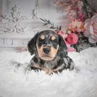 processed/48154669-1f0d-4583-8af4-d8d7c3a27659/listing/dc2fdd75-6a95-4eae-82d2-296589484329/053c9b35-399f-4201-8a4c-54be7be5de1e