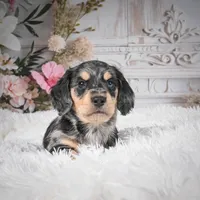 processed/48154669-1f0d-4583-8af4-d8d7c3a27659/listing/dc2fdd75-6a95-4eae-82d2-296589484329/345dd277-1005-4f34-b6cc-929f6b41fcec