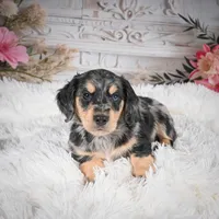 processed/48154669-1f0d-4583-8af4-d8d7c3a27659/listing/dc2fdd75-6a95-4eae-82d2-296589484329/8245b7d4-9818-4c0f-99f5-693bf24e7c0e