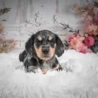 processed/48154669-1f0d-4583-8af4-d8d7c3a27659/listing/dc2fdd75-6a95-4eae-82d2-296589484329/99bba20a-2d74-4eaf-bf66-f6e93c3c9199