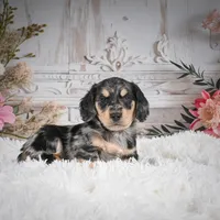 processed/48154669-1f0d-4583-8af4-d8d7c3a27659/listing/dc2fdd75-6a95-4eae-82d2-296589484329/9cfac639-94a6-47ca-a4db-da2208b8cb9b