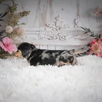 processed/48154669-1f0d-4583-8af4-d8d7c3a27659/listing/dc2fdd75-6a95-4eae-82d2-296589484329/ced80e8c-8eae-403b-b8a3-e15fd2cfeb1d