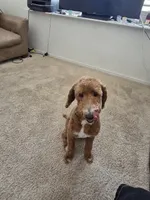 processed/481ecc20-08b4-4439-9273-bf249ace1d3c/listing/45103f1b-e510-48b3-862a-b67f4f4ca007/b835cb33-38d5-44e1-ac0d-779c1a263533