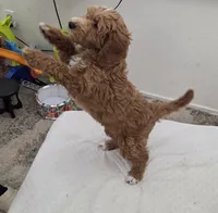 processed/481ecc20-08b4-4439-9273-bf249ace1d3c/listing/d91e7709-dc40-4965-a67c-111177cea7dd/6a4bd811-f07d-4e43-953c-8dc69a42d13a