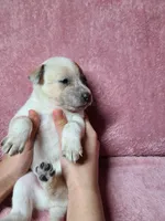 processed/481ecd5b-8c93-4474-b883-3b23f383783c/listing/7524ab03-b43f-4547-99a4-12efcda36a4b/002bd23e-bc36-4e66-bb62-d0723ea6acb3