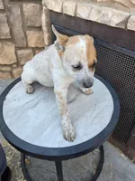 processed/481ecd5b-8c93-4474-b883-3b23f383783c/listing/7524ab03-b43f-4547-99a4-12efcda36a4b/27eb8f36-b6c8-4dfd-ae18-89b203c470b2