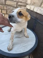 processed/481ecd5b-8c93-4474-b883-3b23f383783c/listing/7524ab03-b43f-4547-99a4-12efcda36a4b/4a671d49-8df6-48ff-aca2-ef5c0f675285