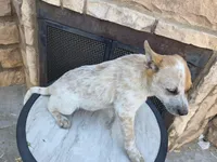 processed/481ecd5b-8c93-4474-b883-3b23f383783c/listing/7524ab03-b43f-4547-99a4-12efcda36a4b/f7745ee6-c37c-4518-83f1-f632db71dc3a