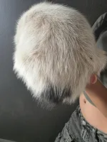 MS BLACK DOT, a female Australian Cattle Dog for sale in Victorville, CA – Photo 4 of 4