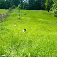 processed/481f679b-314f-4069-91ba-abf04fa71c77/facility/0424fc11-5dcc-4345-9a59-886810e69593