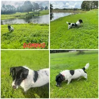 processed/481f679b-314f-4069-91ba-abf04fa71c77/facility/0cb7e0a8-77ac-4d6f-bc95-0107268e6892