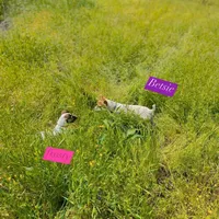 processed/481f679b-314f-4069-91ba-abf04fa71c77/facility/22f209d8-f615-4366-88c6-174fceaacad1