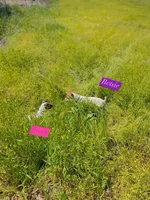 processed/481f679b-314f-4069-91ba-abf04fa71c77/facility/22f209d8-f615-4366-88c6-174fceaacad1