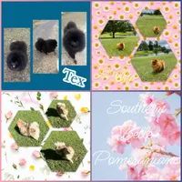 processed/481f679b-314f-4069-91ba-abf04fa71c77/facility/421ea795-3b42-42c7-9461-0cc32ccb0796