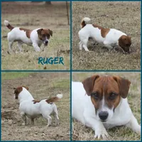 processed/481f679b-314f-4069-91ba-abf04fa71c77/facility/b2e66923-d459-4fc1-8c8a-684ccb18ce41