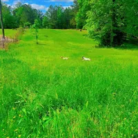 processed/481f679b-314f-4069-91ba-abf04fa71c77/facility/b90af900-a506-471d-a98e-3a39a17c5104