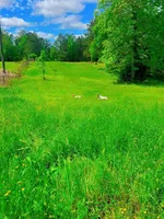 processed/481f679b-314f-4069-91ba-abf04fa71c77/facility/b90af900-a506-471d-a98e-3a39a17c5104