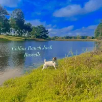 processed/481f679b-314f-4069-91ba-abf04fa71c77/facility/d021cc7e-4552-4936-8dd9-8a66374b5c2d