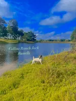 processed/481f679b-314f-4069-91ba-abf04fa71c77/facility/d021cc7e-4552-4936-8dd9-8a66374b5c2d