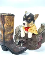 Rancher 💙, a male Pembroke Welsh Corgi for sale in Pearson, GA – Photo 5 of 6