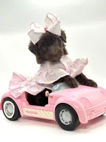 Lucy Lou , a female Soft Coated Wheaten Terrier and Poodle - Miniature  for sale in Pearson, GA – Photo 1 of 2