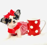 XXX Tiny Teacup Dolly 🎀, a female Chihuahua for sale in Pearson, GA – 6 of 10