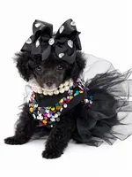 Tiny Paisley 🩷, a female Poodle - Toy  for sale in Pearson, GA – 2 of 10