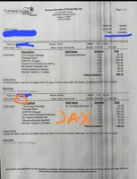 JAX, a male Yorkshire Terrier for sale in Tampa, FL – Photo 9 of 9