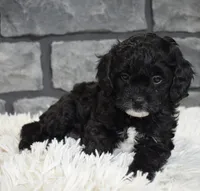 processed/48332f2b-090e-4a3d-8e6f-022c27ce812d/listing/0008da97-b536-495a-81e5-29e06ac6f328/0b124e67-2d9e-48ad-92f5-f53986f6fe6d