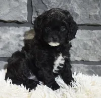 processed/48332f2b-090e-4a3d-8e6f-022c27ce812d/listing/0008da97-b536-495a-81e5-29e06ac6f328/73b32491-1003-48d4-9e2f-f323d5e7c3df