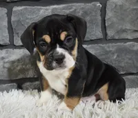 processed/48332f2b-090e-4a3d-8e6f-022c27ce812d/listing/44092a39-296c-4248-b849-1273a5f7bb81/29169081-4ca0-4dc1-916c-8a9b9fb8e5b7