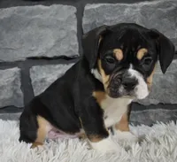 processed/48332f2b-090e-4a3d-8e6f-022c27ce812d/listing/44092a39-296c-4248-b849-1273a5f7bb81/80ce857d-1b8e-42e2-81f1-c46c8d5d40d4