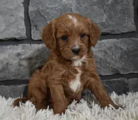 processed/48332f2b-090e-4a3d-8e6f-022c27ce812d/listing/cd3b688c-e913-47dd-9692-b3d4bdbc8ee0/111c2ec0-bb8e-4434-887b-e9bbea0635dd