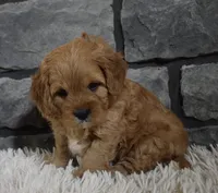 processed/48332f2b-090e-4a3d-8e6f-022c27ce812d/listing/eefb7530-3926-4261-b2e7-6ea6756eef9e/6bc38d86-294d-4846-b967-28a7d5929d63