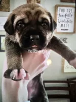 processed/484836dc-67cd-4710-8bf5-be0a16f9b371/listing/2d26a873-12af-44b8-a866-6d0838003f68/1f752b0f-d995-4e3e-bccf-d9ded8e3a067