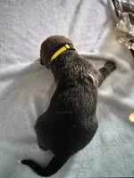 processed/484836dc-67cd-4710-8bf5-be0a16f9b371/listing/2d26a873-12af-44b8-a866-6d0838003f68/e1fe371a-7fe4-4589-9882-800f21c9ec1d