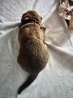 processed/484836dc-67cd-4710-8bf5-be0a16f9b371/listing/3d740bd4-9c49-45d6-8eba-317f5d043e1d/dd868ebc-76c4-4fed-a9b1-0f63644287ee