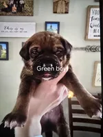 processed/484836dc-67cd-4710-8bf5-be0a16f9b371/listing/70a204dd-9547-4bc6-9c5d-13489d70b10a/9c2a186d-ba13-48af-ae0b-5b73db3906d0