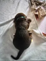 processed/484836dc-67cd-4710-8bf5-be0a16f9b371/listing/70a204dd-9547-4bc6-9c5d-13489d70b10a/f6081ba4-5b8f-40cd-b219-93de8d1083d3