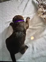 processed/484836dc-67cd-4710-8bf5-be0a16f9b371/listing/bcca6c94-b32e-49ef-853b-c9e81e65bd99/8095a8b0-3278-4fce-8034-206c35fc8da9