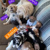 processed/4850382b-d58a-46de-a46d-1dbb990da558/facility/21eb9c78-03dd-4389-adc9-cabd7609b42a