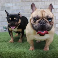 processed/4850bd3e-7bfb-49c9-b559-8f9340aa070e/facility/07ad68f9-6421-4010-a6d0-3deb3b9edbe0