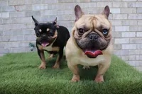 processed/4850bd3e-7bfb-49c9-b559-8f9340aa070e/facility/07ad68f9-6421-4010-a6d0-3deb3b9edbe0