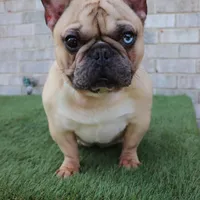 processed/4850bd3e-7bfb-49c9-b559-8f9340aa070e/facility/16388b11-bb39-4e94-b289-2fcc61b3f7f5