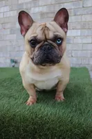 processed/4850bd3e-7bfb-49c9-b559-8f9340aa070e/facility/16388b11-bb39-4e94-b289-2fcc61b3f7f5