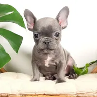 processed/4850bd3e-7bfb-49c9-b559-8f9340aa070e/facility/780d2656-bbd1-4f96-8efc-841a0a0d117d